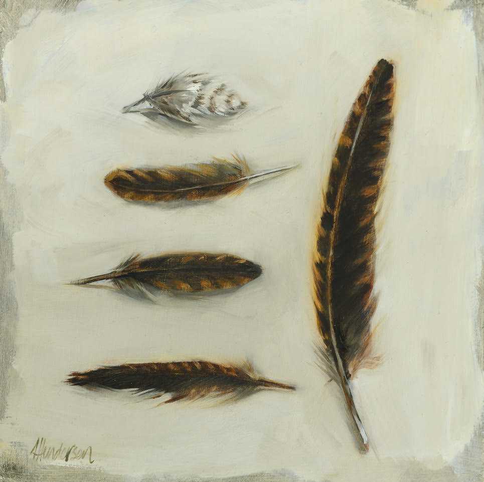 Five feathers arranged on a textured white surface