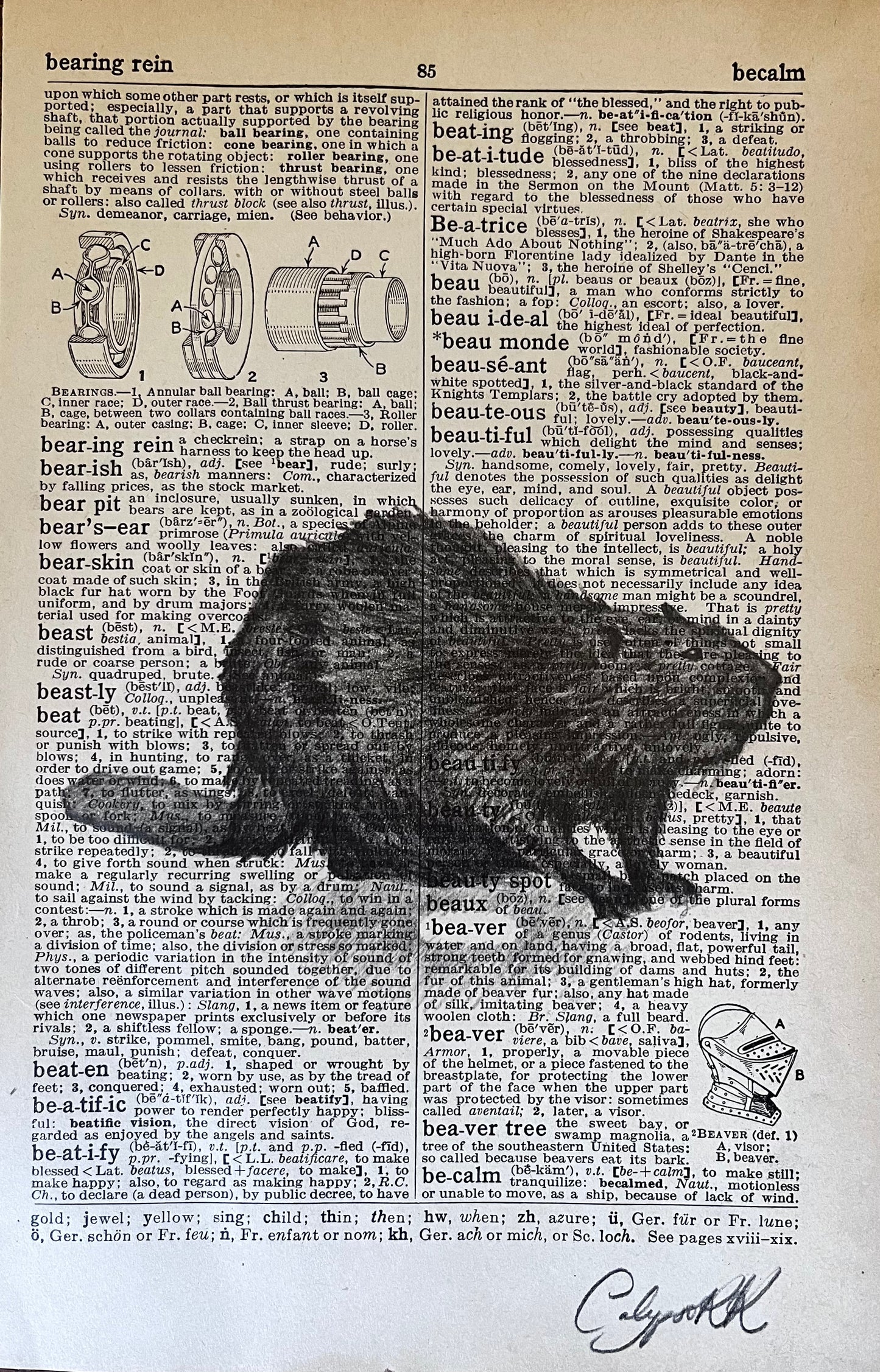 Beaver (2025)