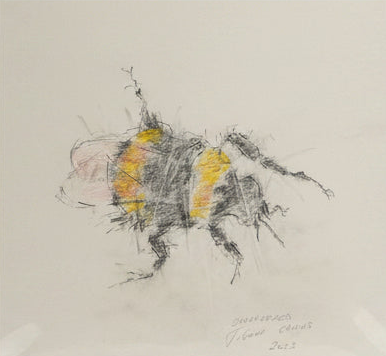 Abstract drawing of a bee on a light gray background