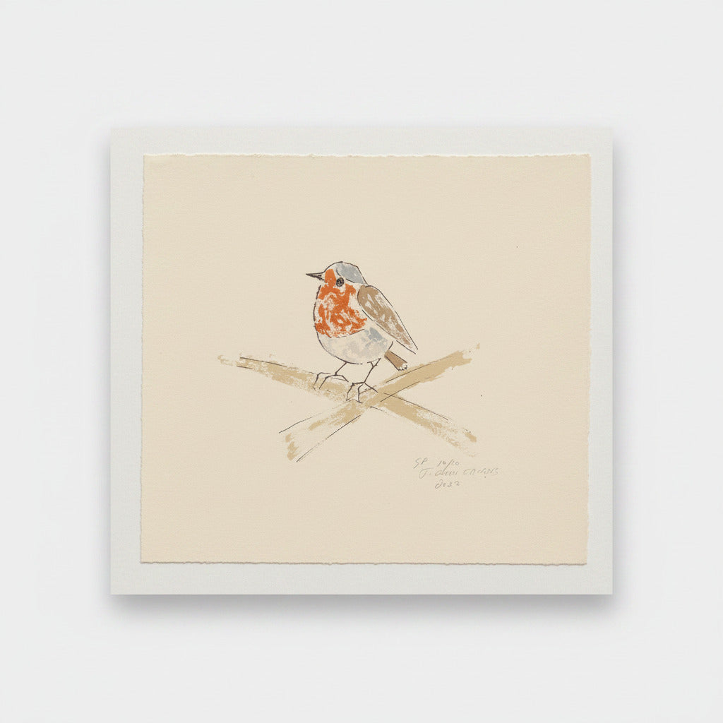 print of a robin against a white backdrop