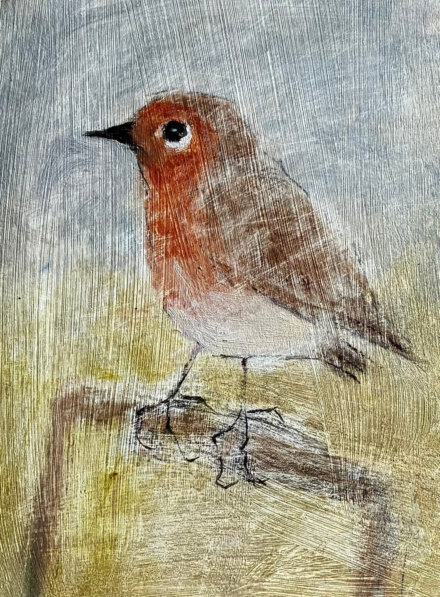 picture of a robin