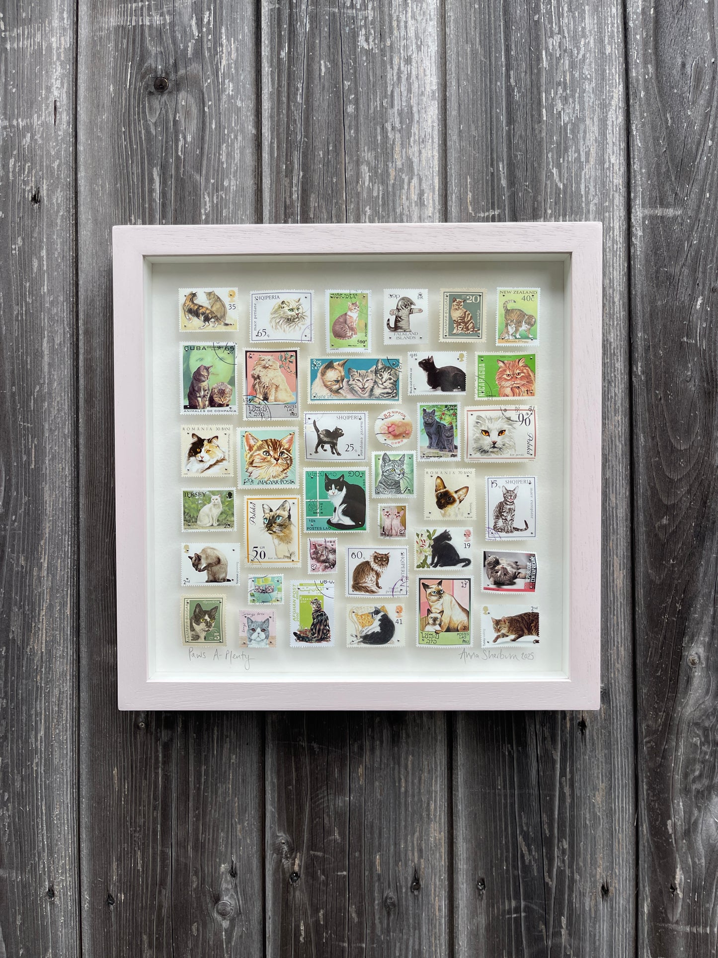 Framed collection of cat-themed postage stamps on a wooden wall.