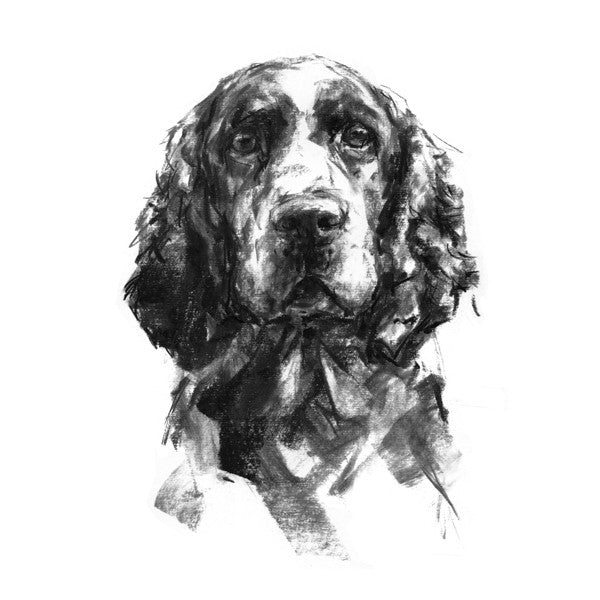 Black and white sketch of a dog's face on a white background