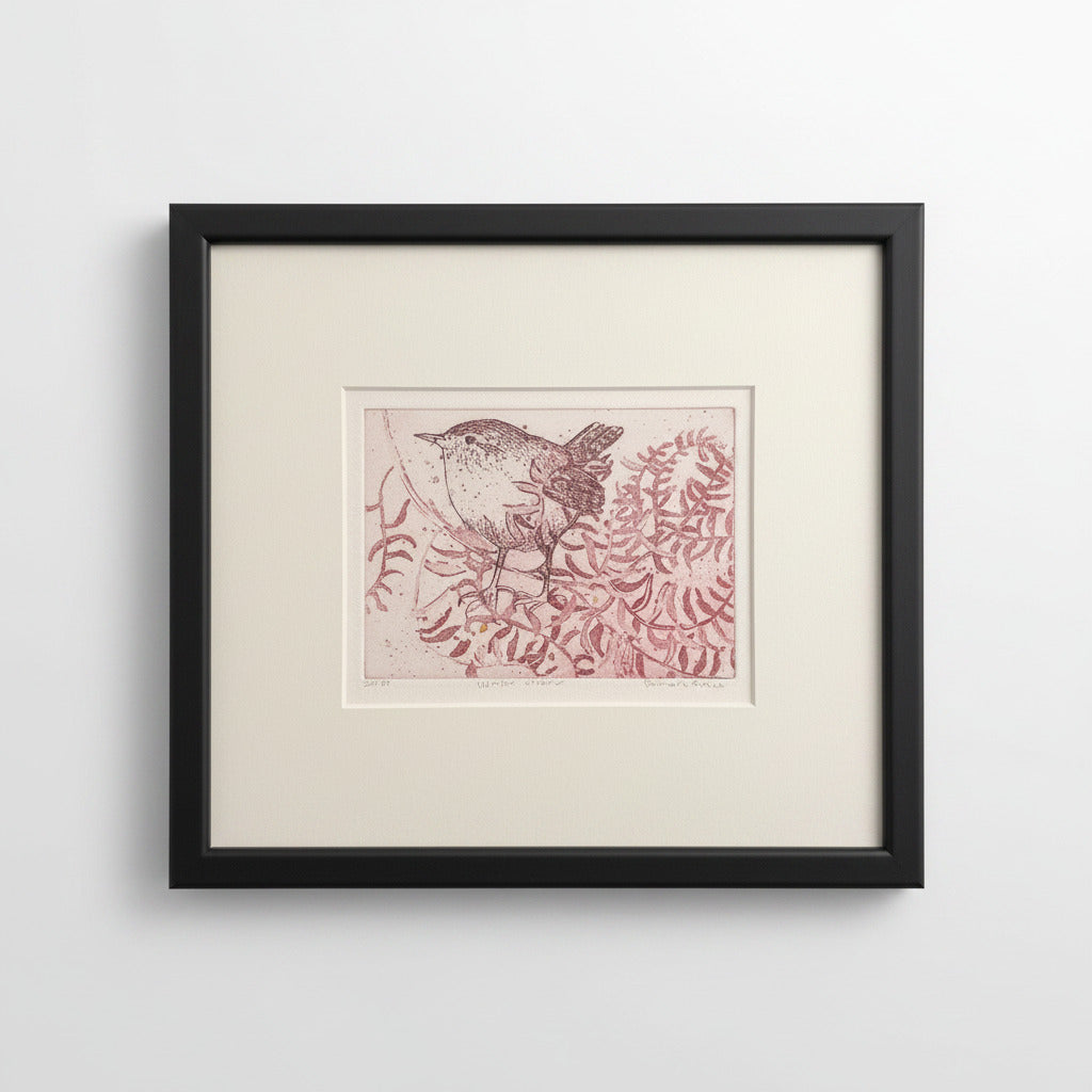 Winter Wren