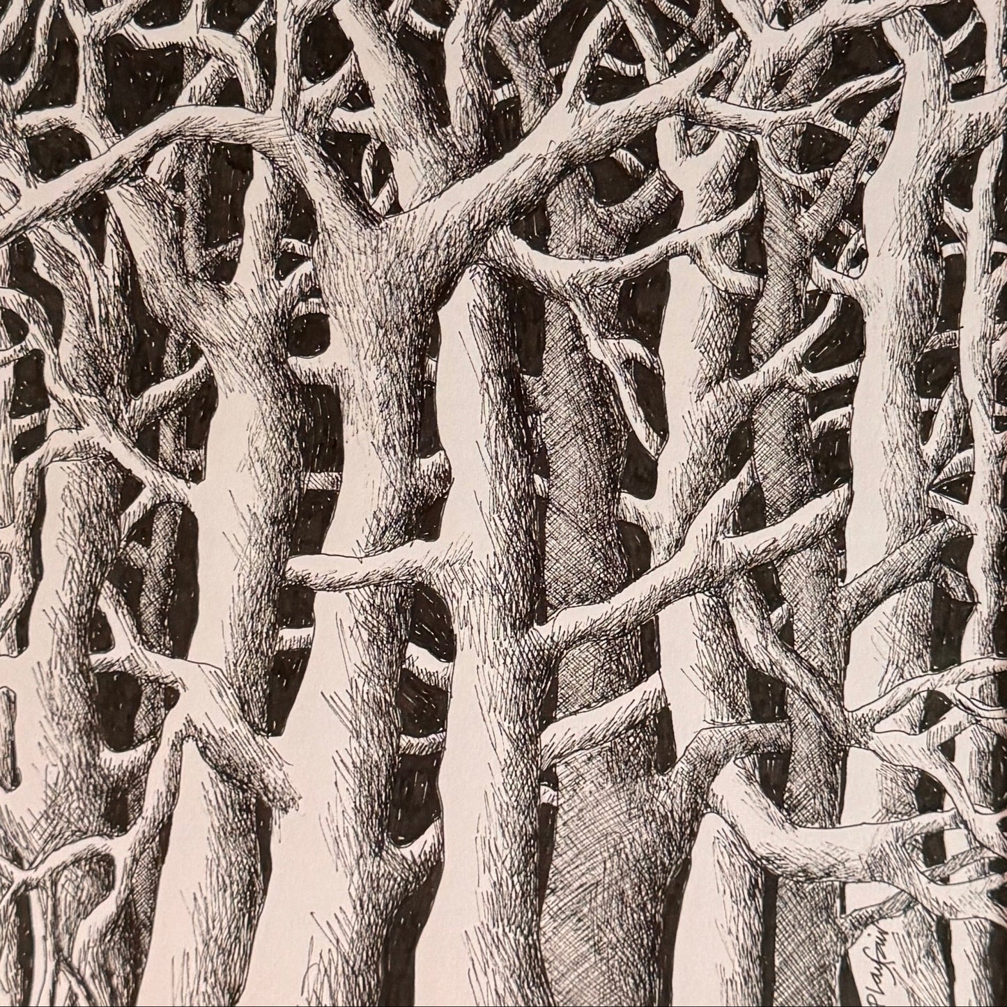 Framed black and white artwork of tree branches on a dark background