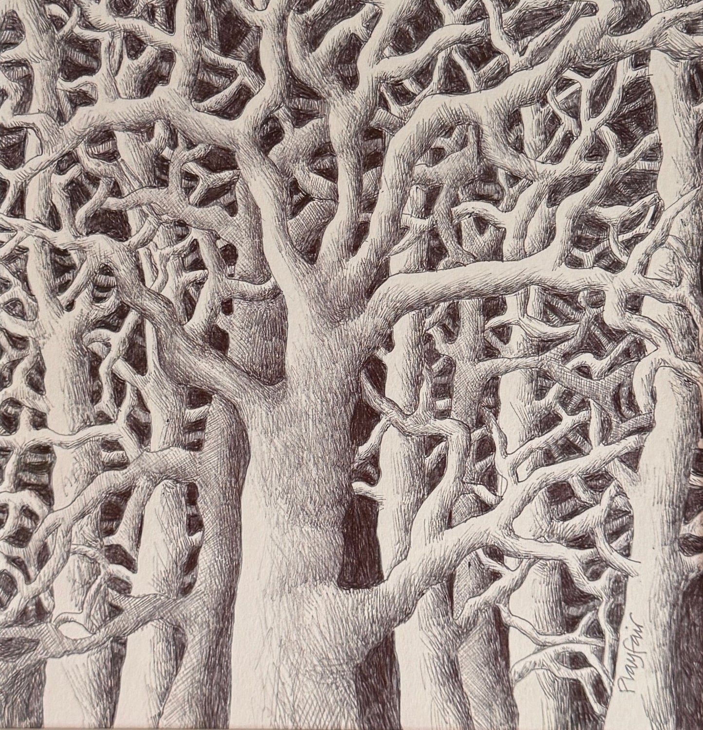 Framed black and white artwork of tree branches on a dark background