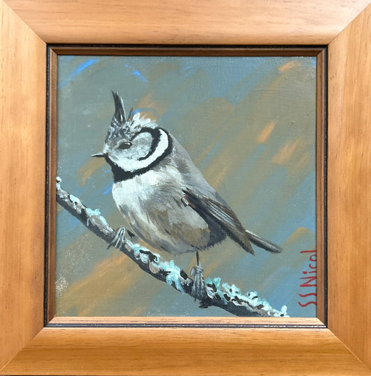 Painting of a bird perched on a branch with a wooden frame.