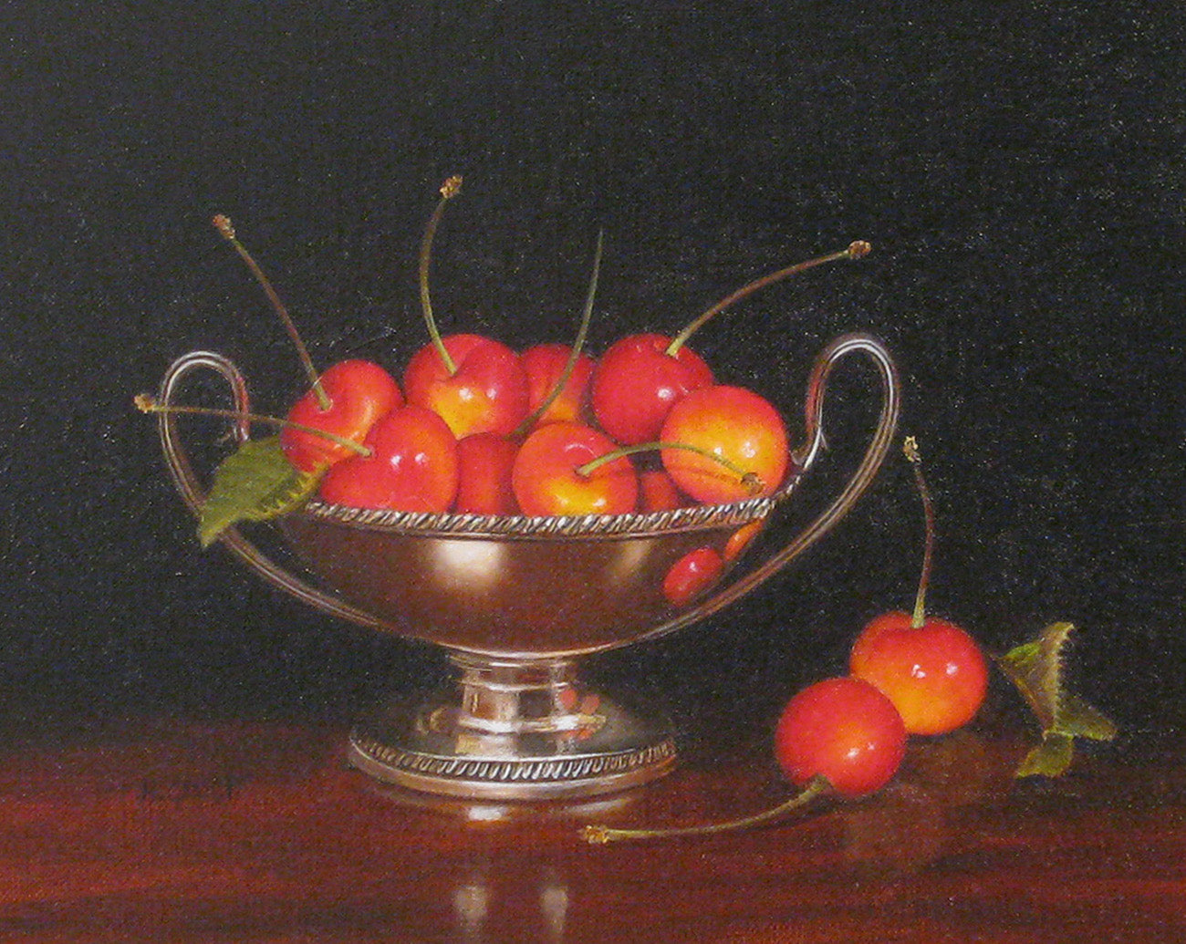 Still Life Studies