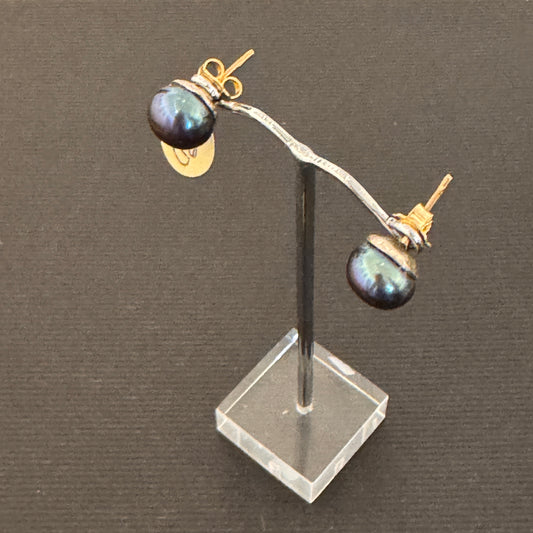 Black Gold Ear Studs (S3)