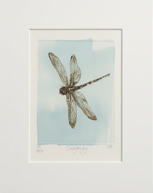Matted print of a dragonfly on a textured surface