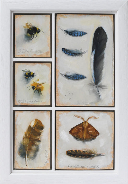 Set of six framed artworks featuring insects and feathers on a white background