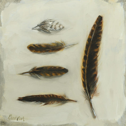 Five feathers arranged on a textured white surface