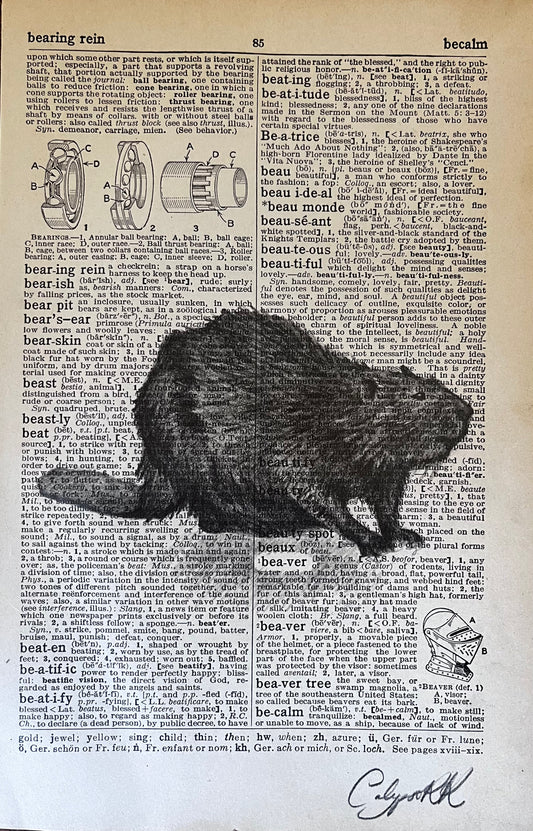 Beaver (2025)