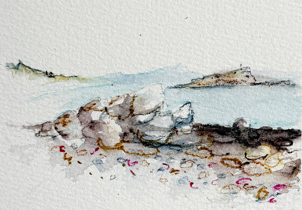 A watercolor painting of a rocky shoreline with pale blue water, distant landforms, and small multicolored floral accents near the foreground, rendered on textured white paper.