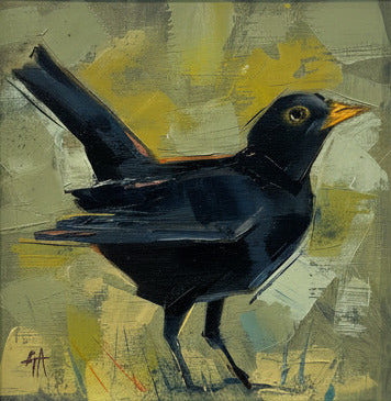 Wee Blackbird