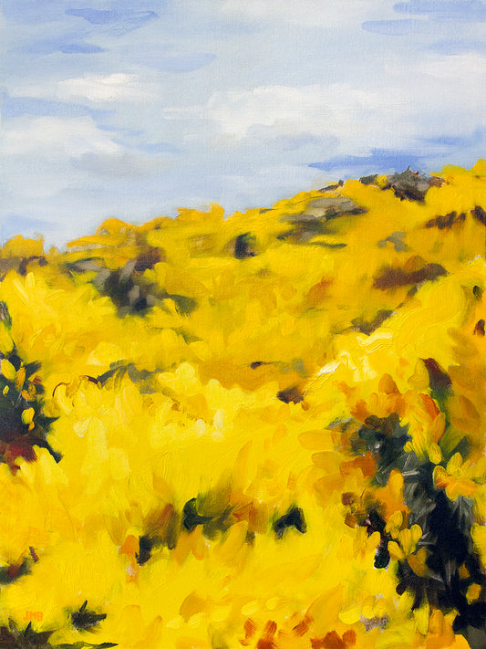 Wild Gorse V - Field of Yellow (2021)