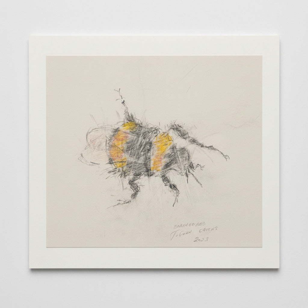 print of bumblebee against white backdrop