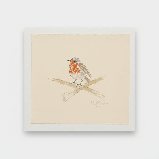 print of a robin against a white backdrop
