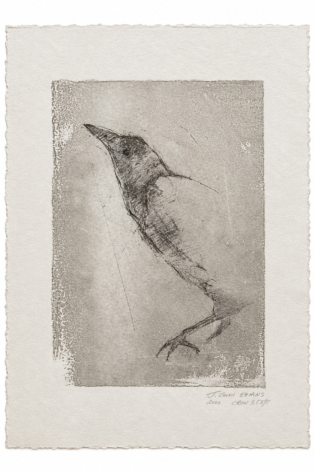 Crow (2000)