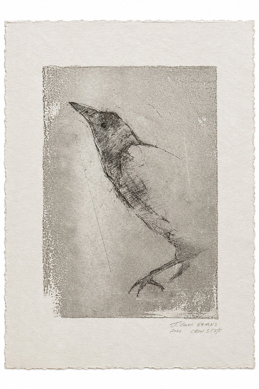 Crow (2000)