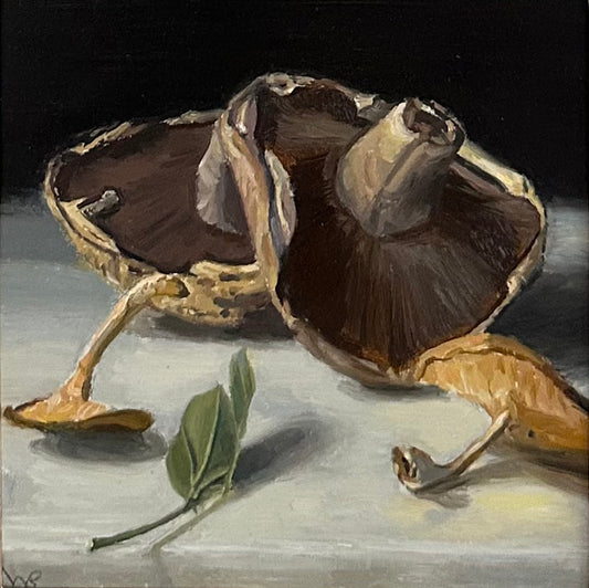 Close-up of a mushroom with a dark background