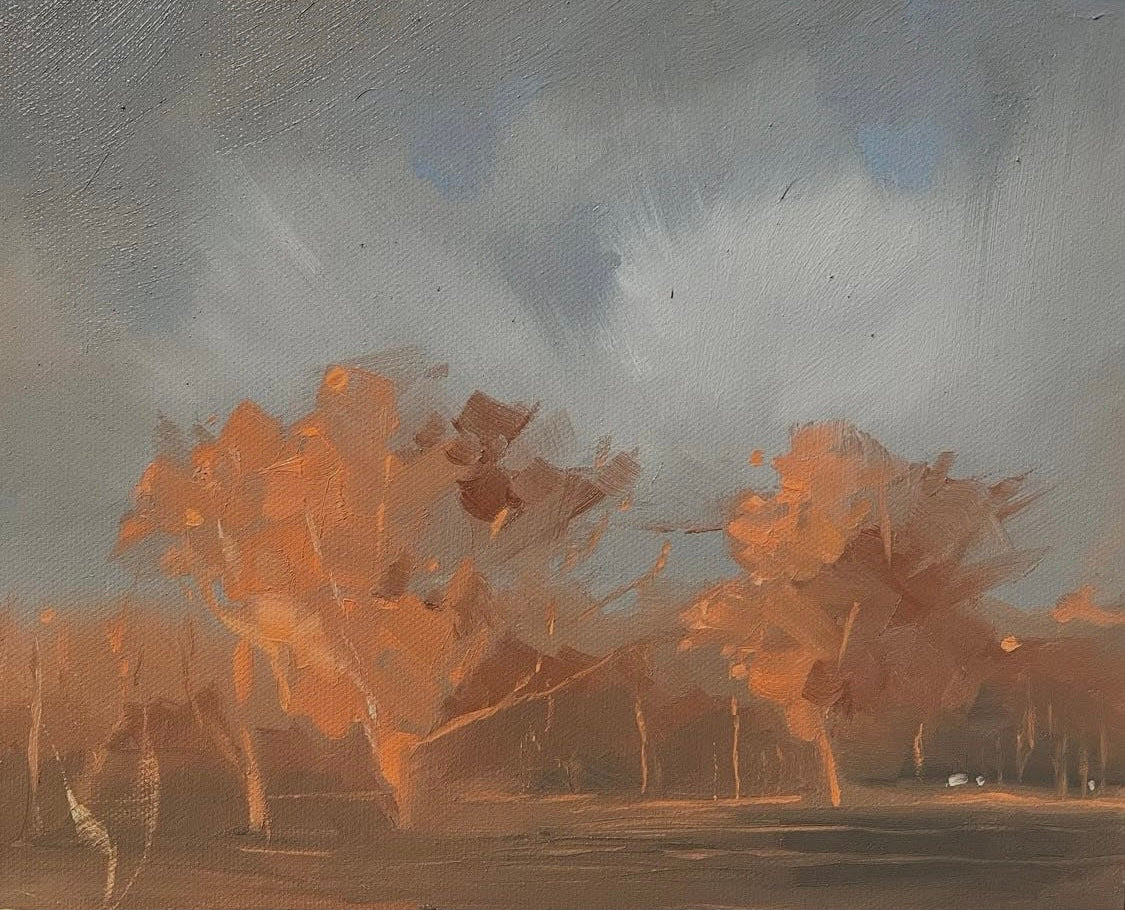 Painting of trees in a lovely orange colour because of the sun and a cloudy sky with a patch of blue sky peeking through. Oil on Board painted by Alex Hinge and measuring 36x32cm framed.