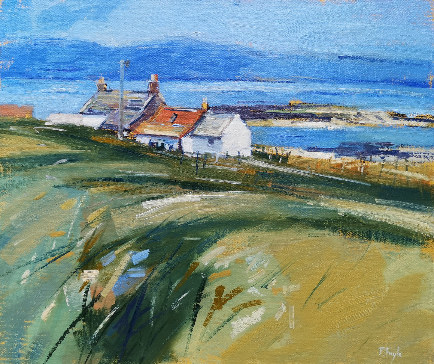 Farm, North End Iona (2026)