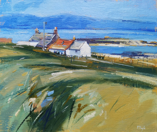 Farm, North End Iona (2026)