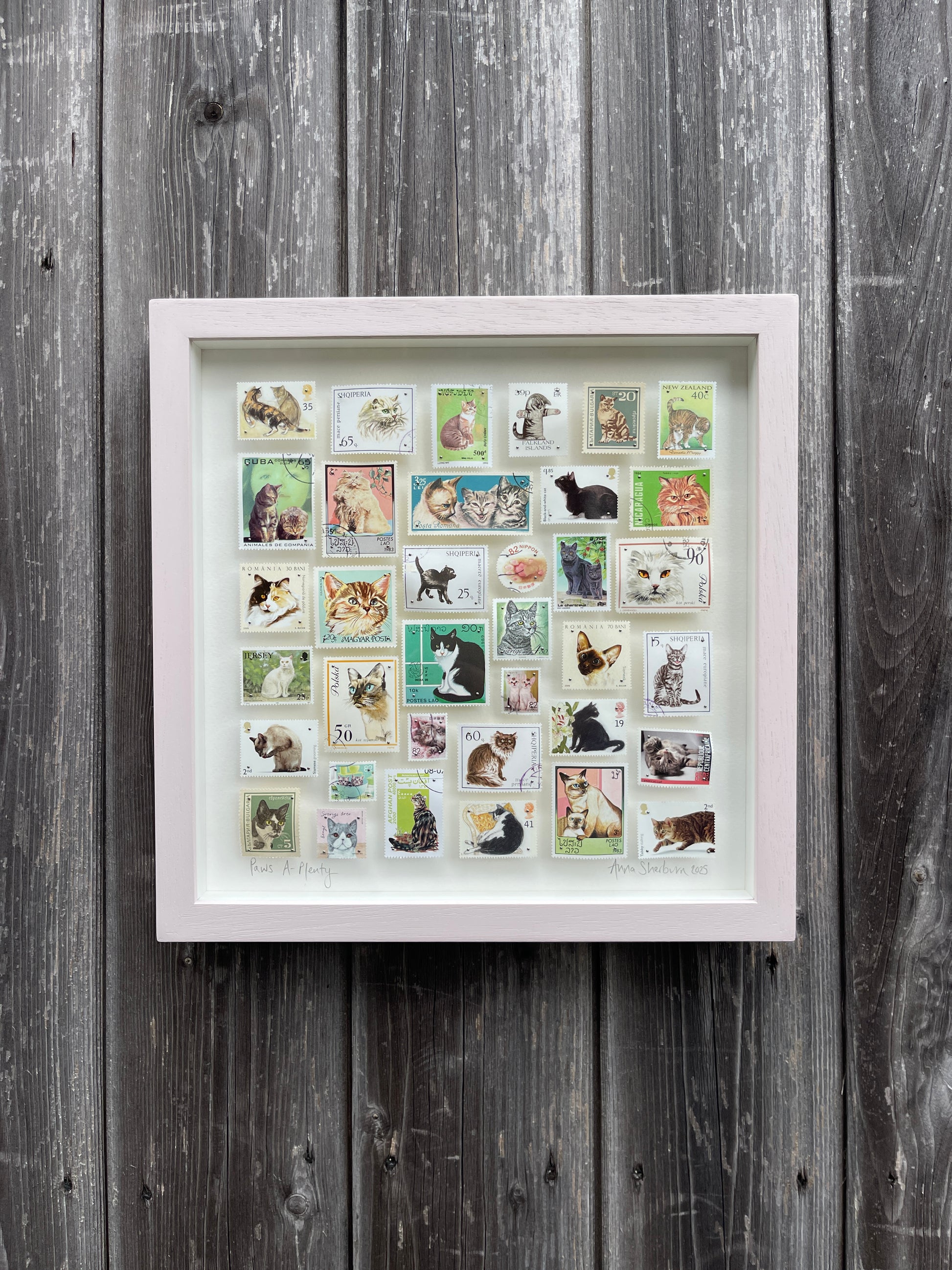 Framed collection of cat-themed postage stamps on a wooden wall.