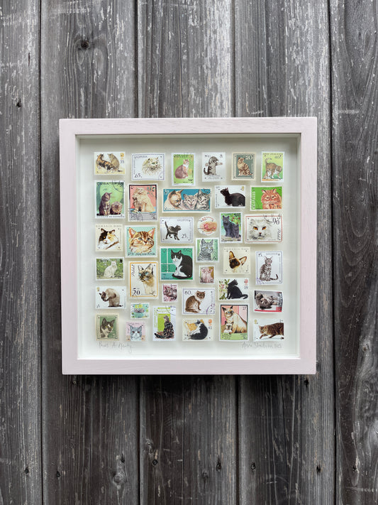 Framed collection of cat-themed postage stamps on a wooden wall.