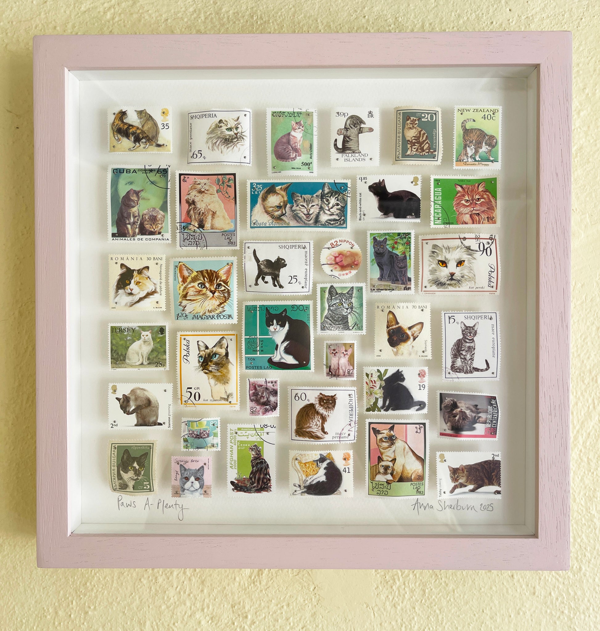 Framed collection of cat-themed postage stamps on a yellow wall.