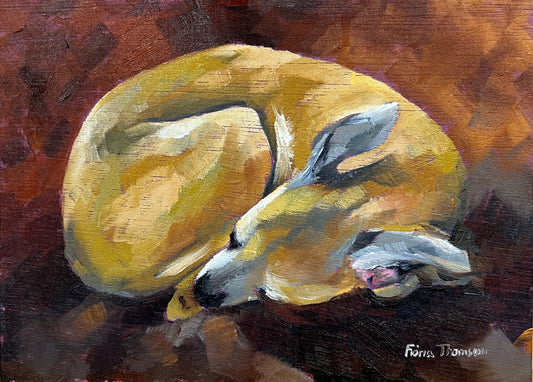 a painting of a whippet sleeping, curled up on a wooden floor