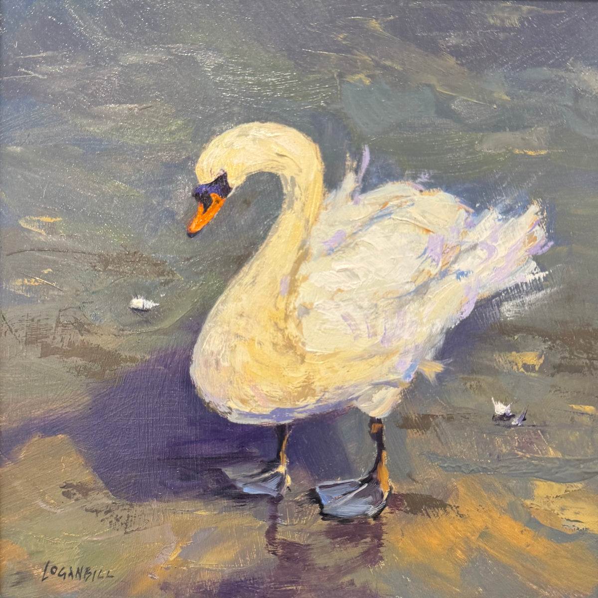 A framed oil painting of a white swan standing in shallow water, with a dark brown wooden frame. The painting features textured impasto brushstrokes in shades of gray, yellow, purple, and orange.