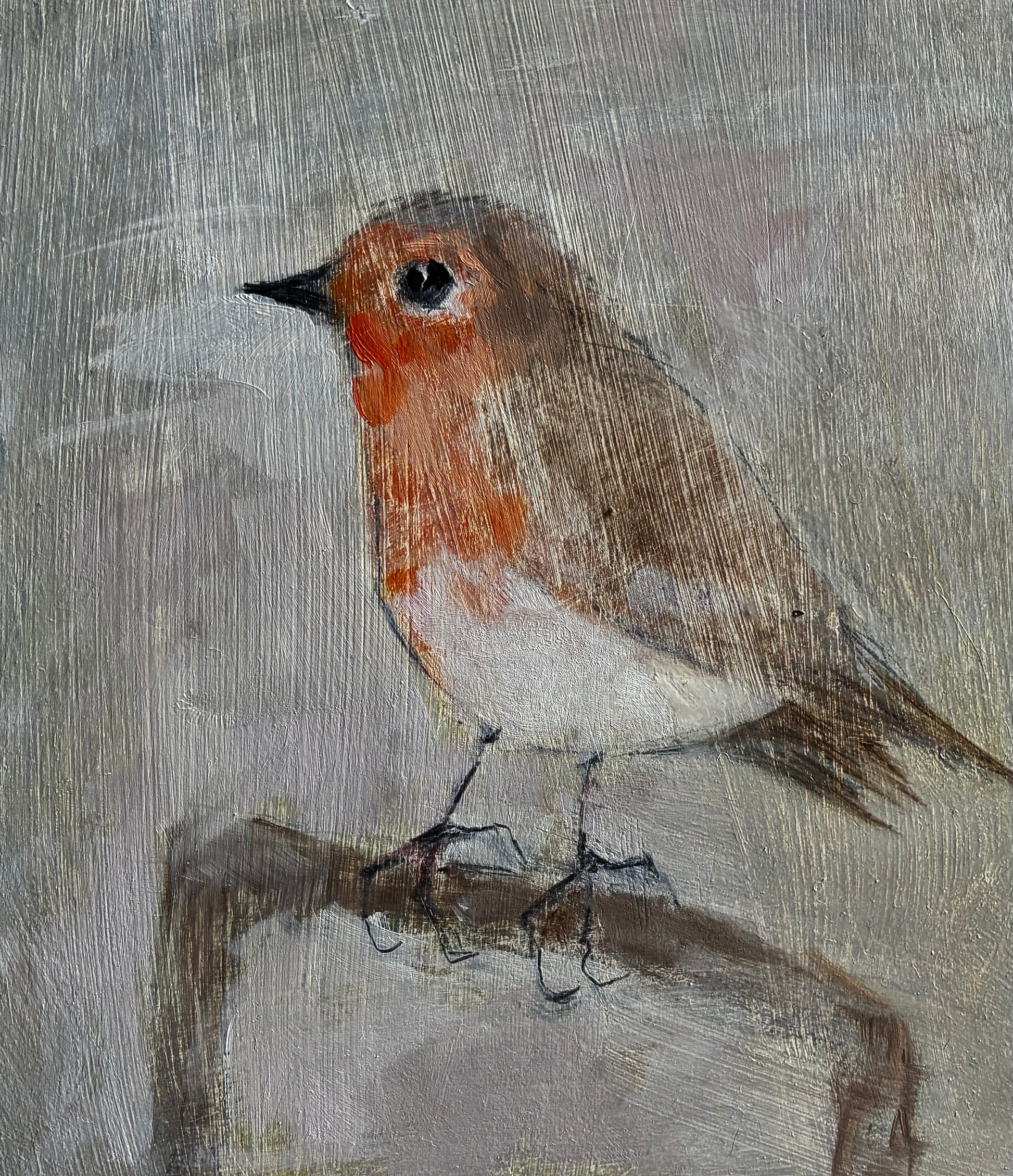 A painted robin perched on a branch, rendered in soft brown, white, and orange tones against a textured gray background.