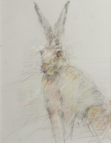 a delicate painting of a hare looking straight at the viewer, against a white background