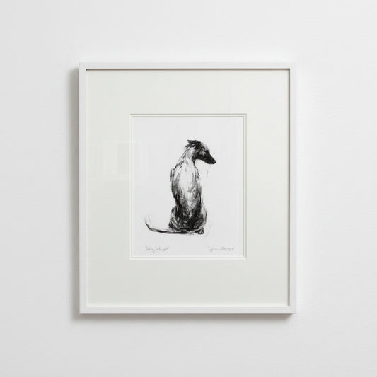Sitting Whippet