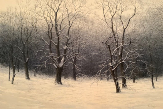 Snowy landscape with bare trees in a forest