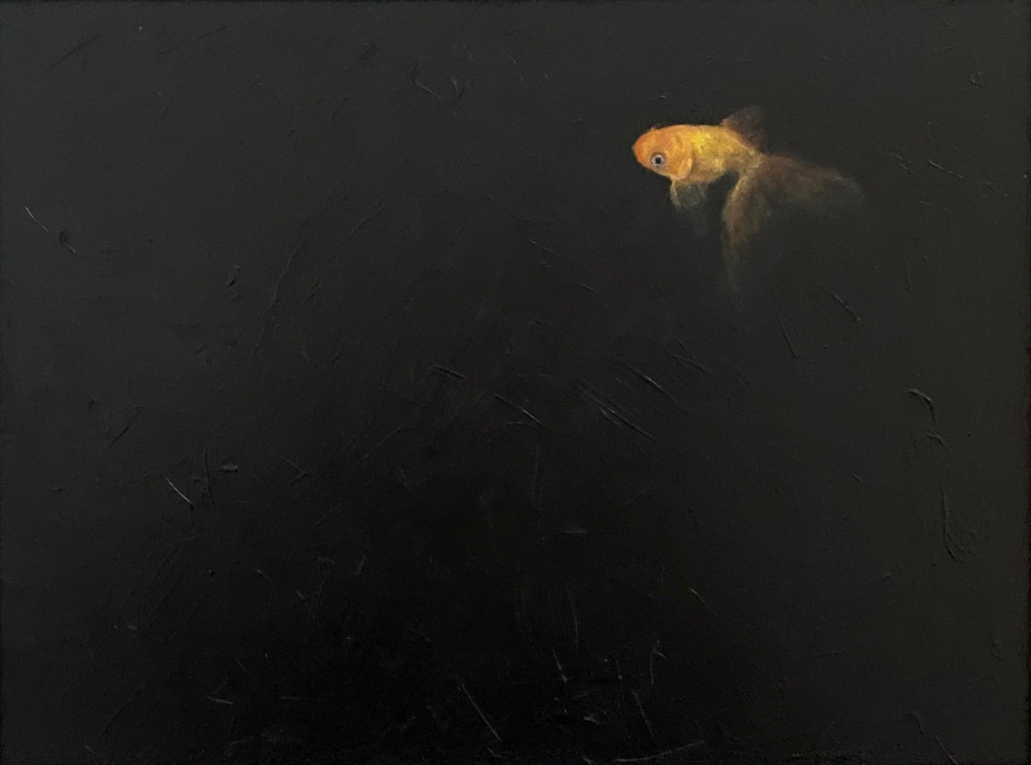 Framed artwork of a goldfish in a dark background