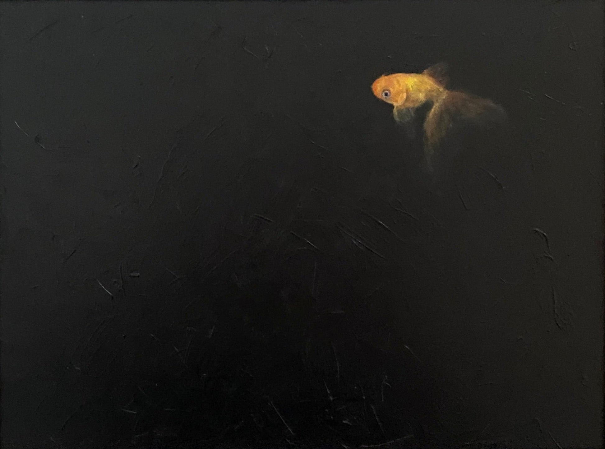 Framed artwork of a goldfish in a dark background