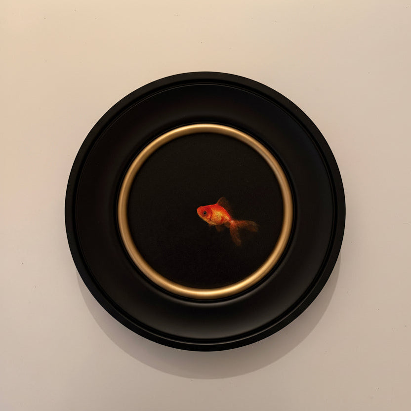 Goldfish in a black bowl with gold rim on a beige background