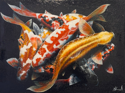 Canvas print of Koi fish on a black background
