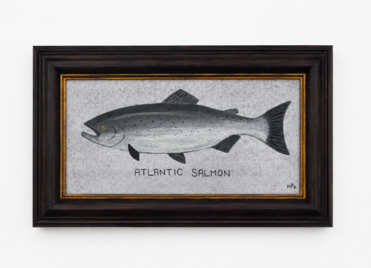 Atlantic Salmon (2026)