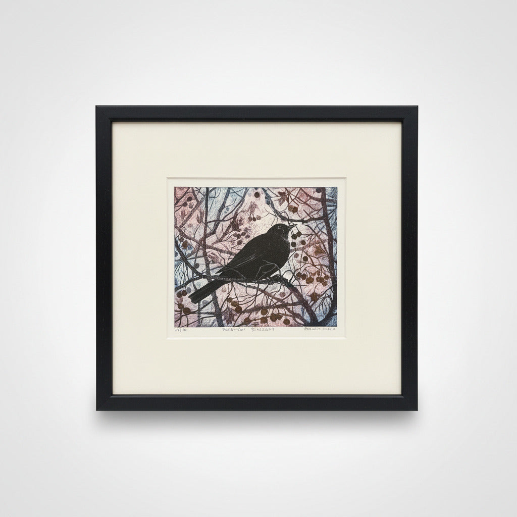November Blackbird