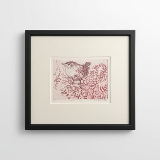 Winter Wren