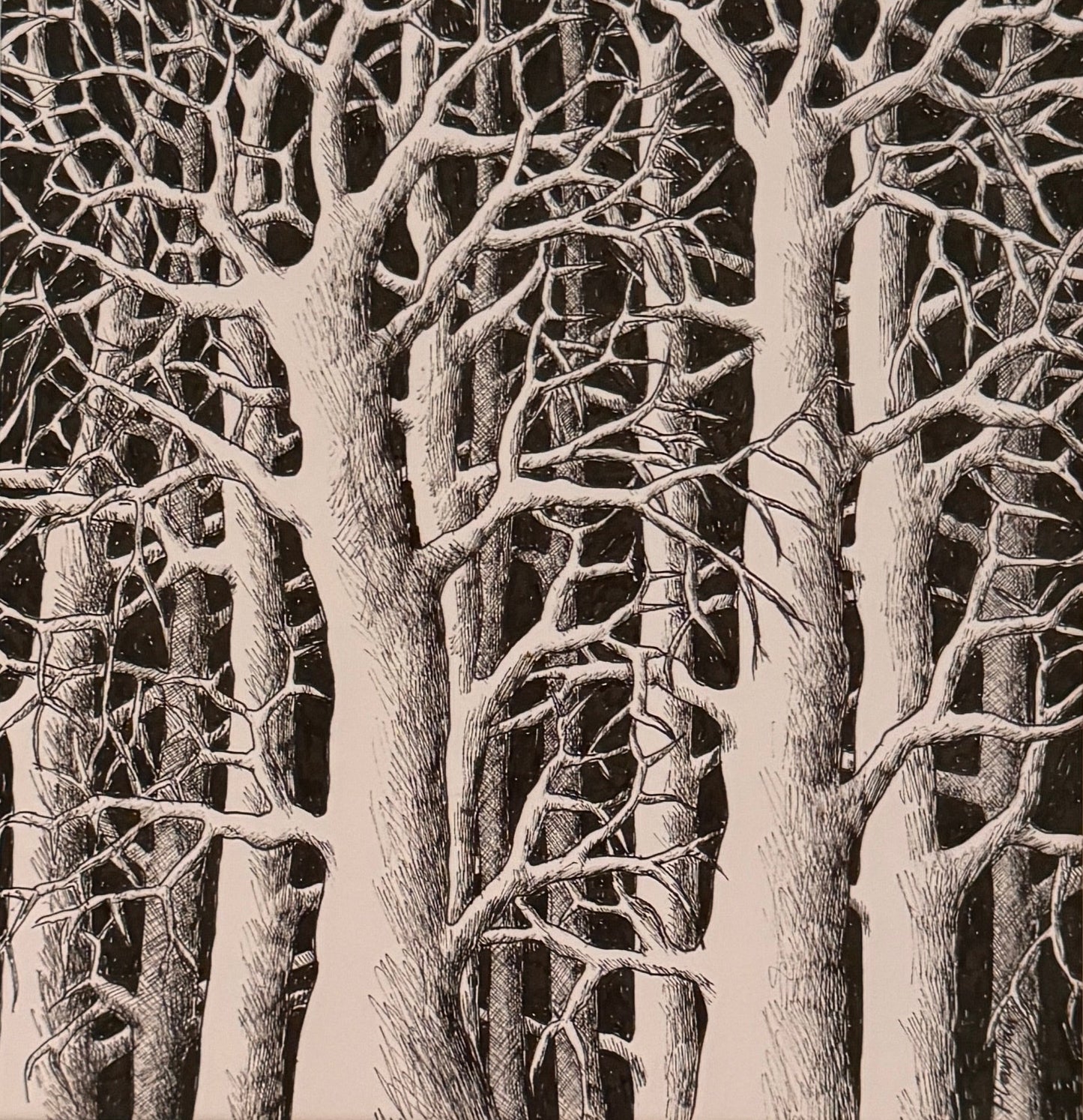 Framed artwork of trees with a dark border