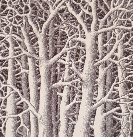 Framed artwork of a black and white tree silhouette on a dark background
