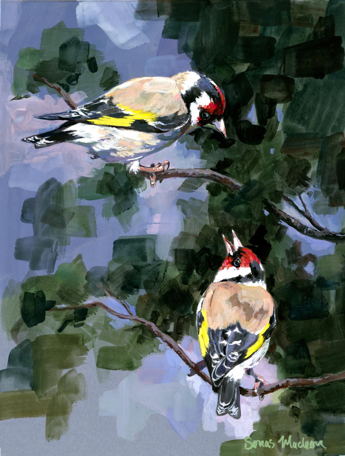 Two birds perched on branches with a nature background