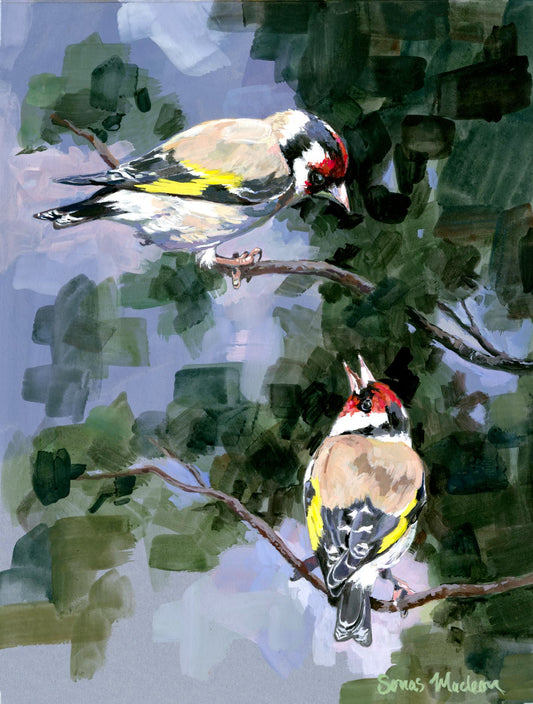 Two birds perched on branches with a nature background