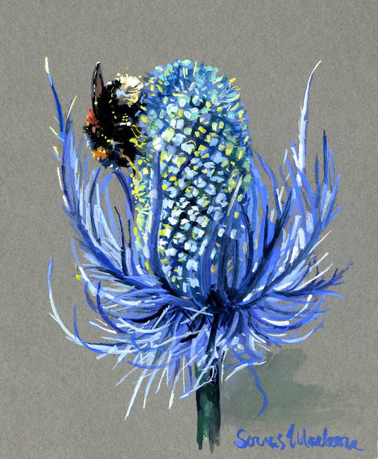 Artistic depiction of a bee on a blue thistle flower with a grey background