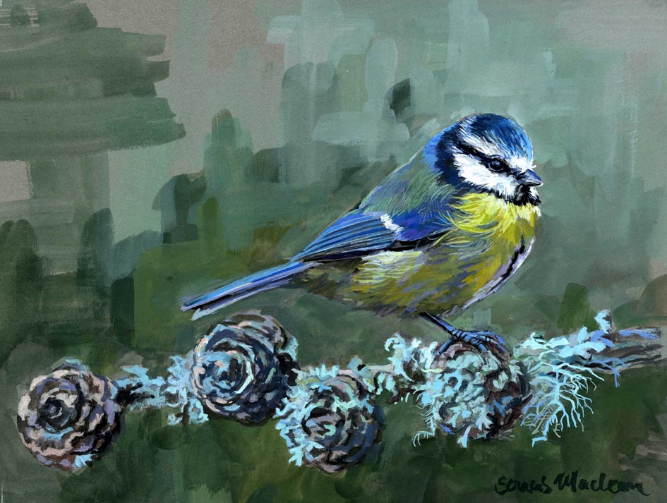 Painting of a blue tit bird perched on a branch with pinecones and lichen.
